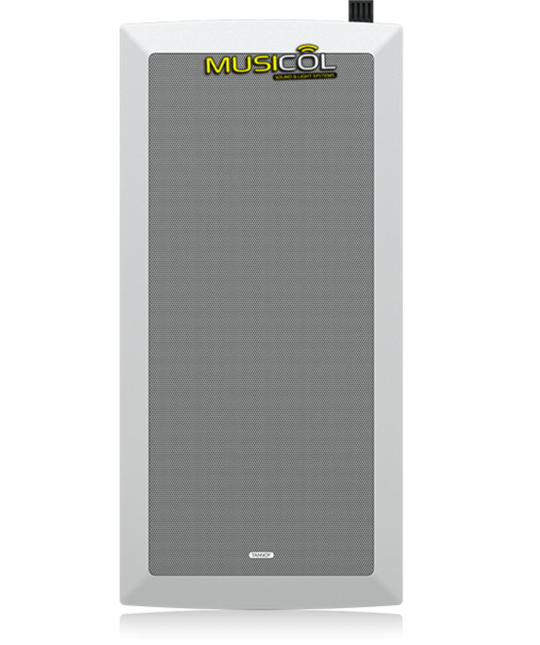 רמקול שקוע קיר 