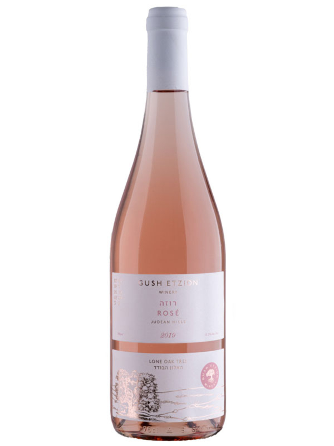 גוש עציון האלון הבודד רוזה 2020