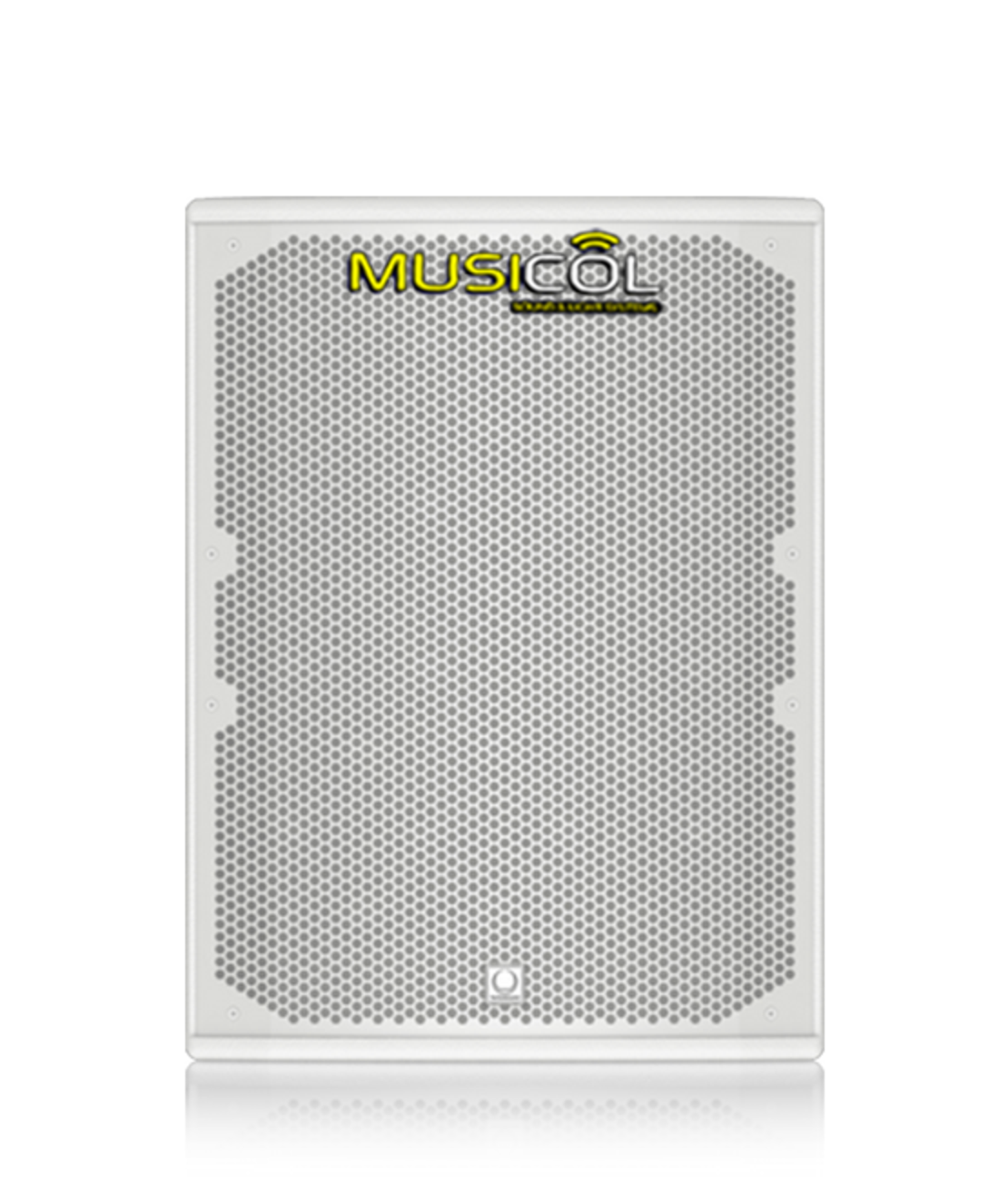 רמקול פסיבי 