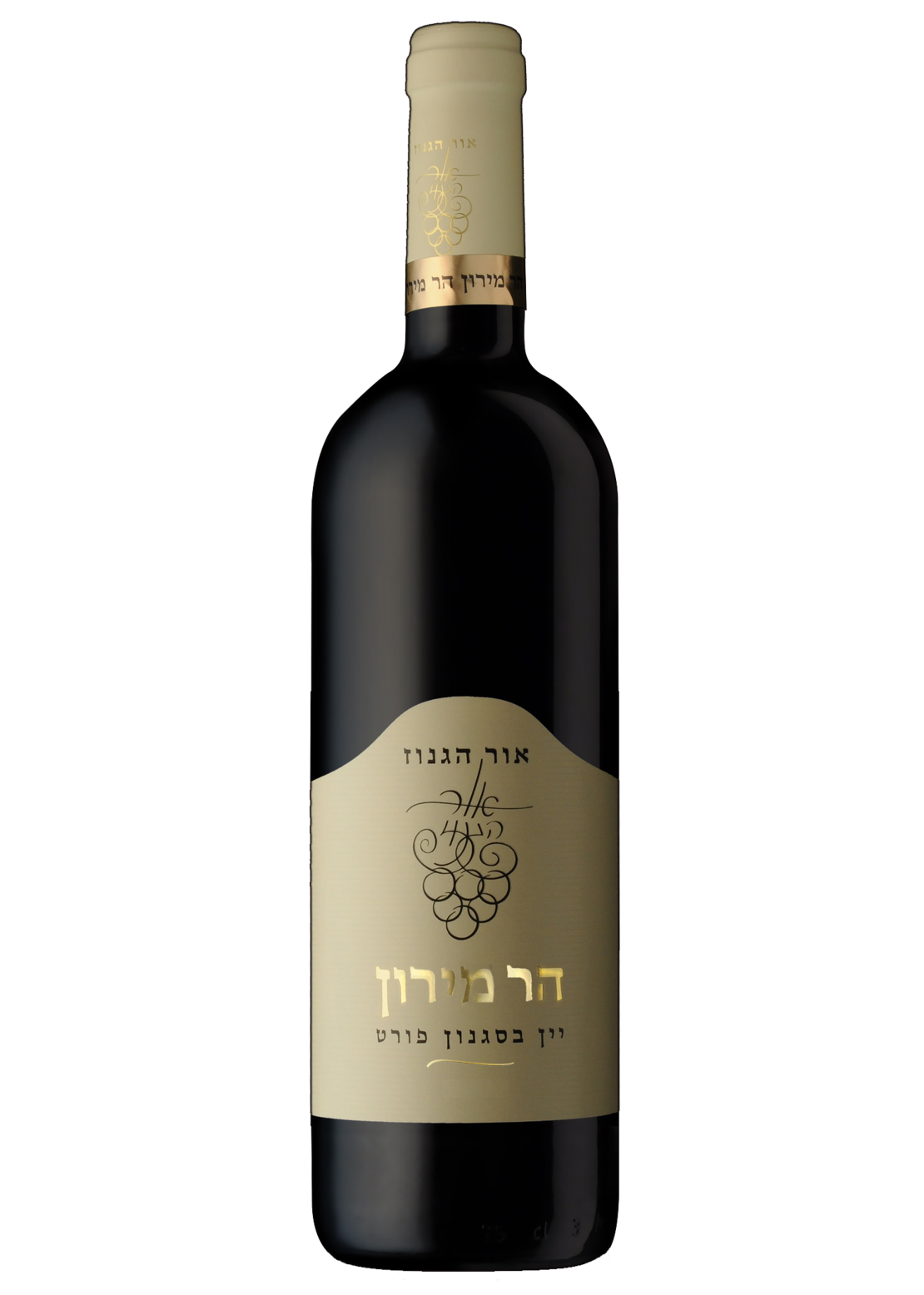 אור הגנוז - הר מירון | בד״ץ