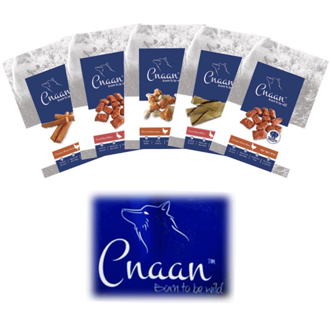 כנען מגוון חטיפים לכלב 100 גרם