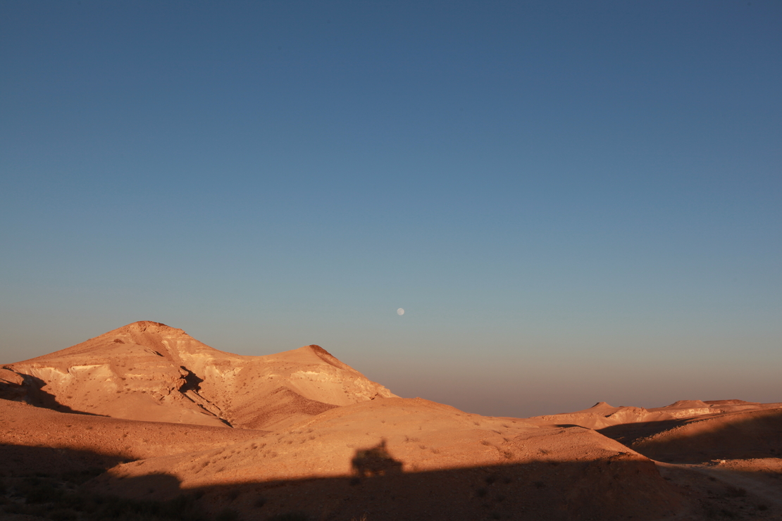  השתלמות מס' 907 - 29/09/2021 - המדבר הנסתר של פתחת ניצנה - ד