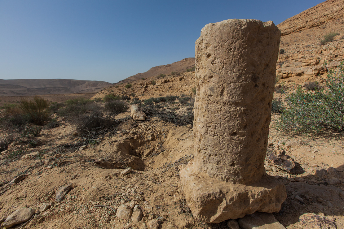 השתלמות מס' 909 - 31/10/2021 - הר הנגב מתחנת מעבר להתיישבות מקיימת - יום עיון מקוון - פרופ' חיים בן דוד
