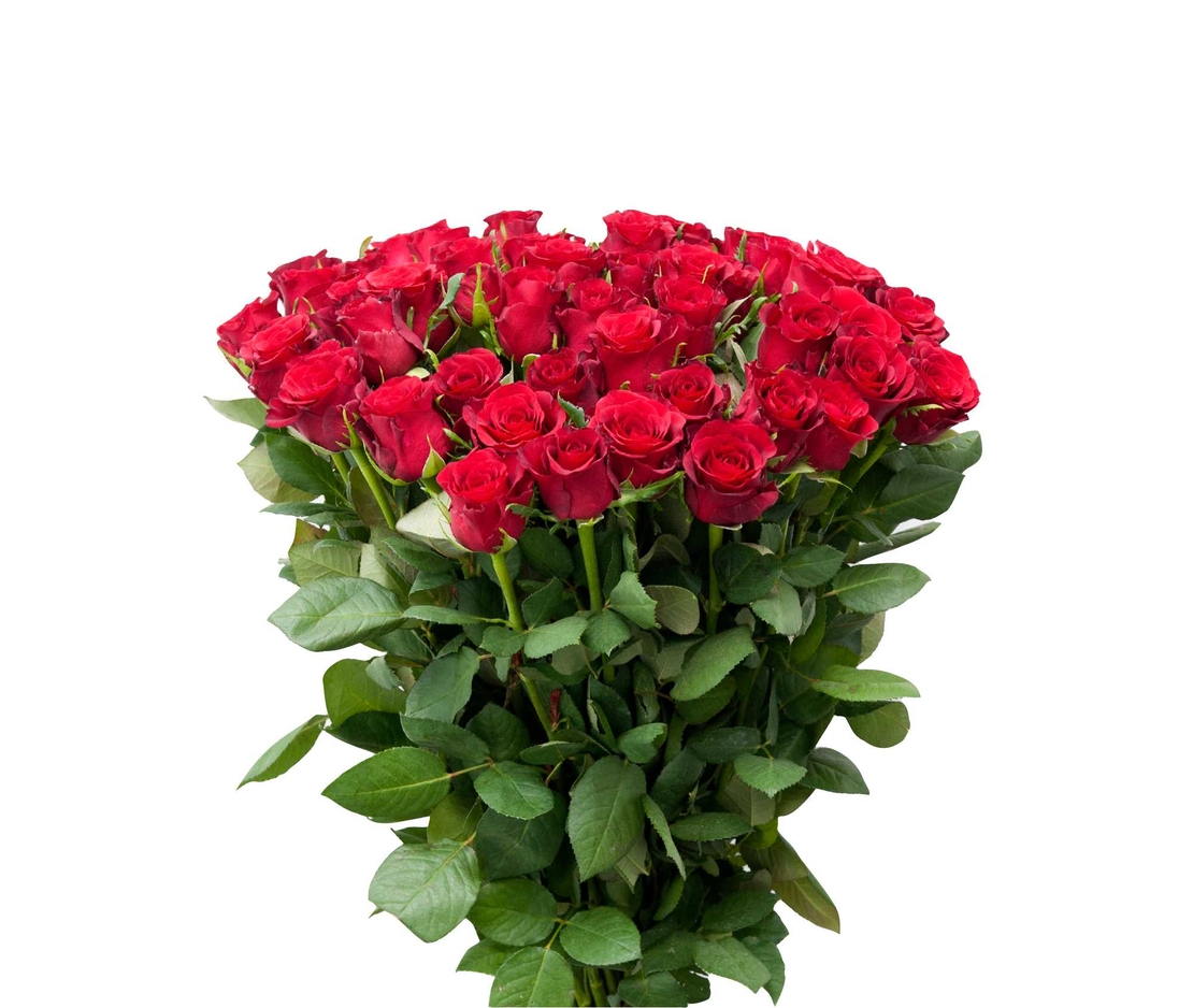 זר 51 ורדים גבוהים