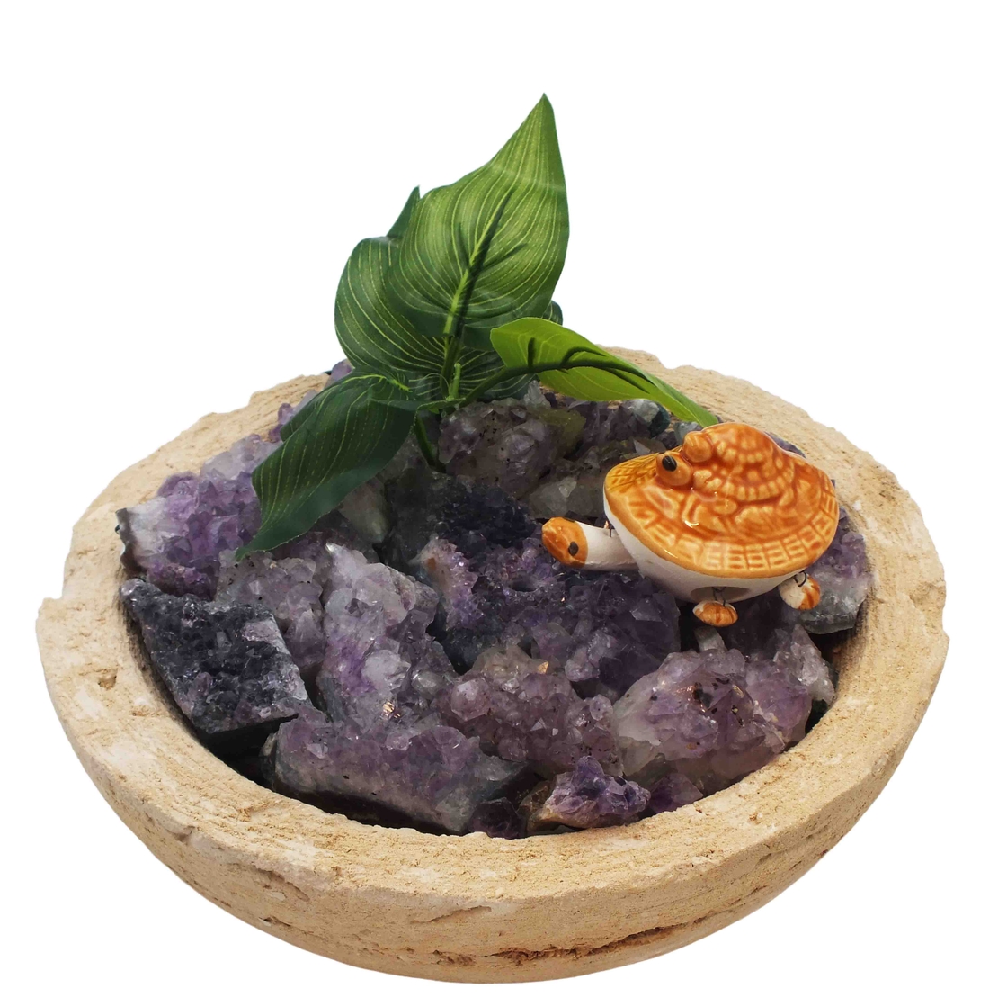 מעיין נובע קערה טבעית - מושבות אמטיסט