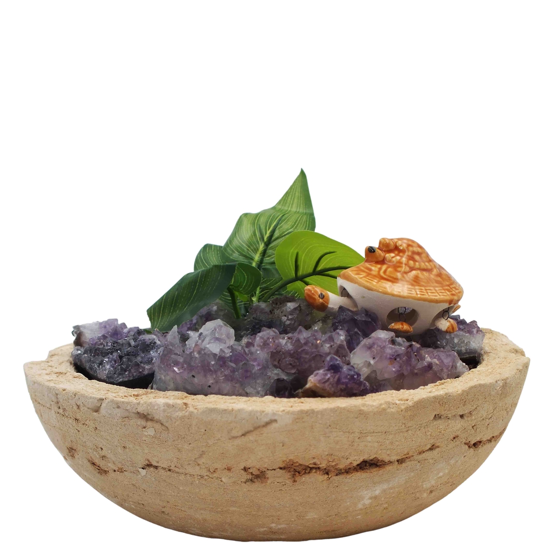 מעיין נובע קערה טבעית - מושבות אמטיסט