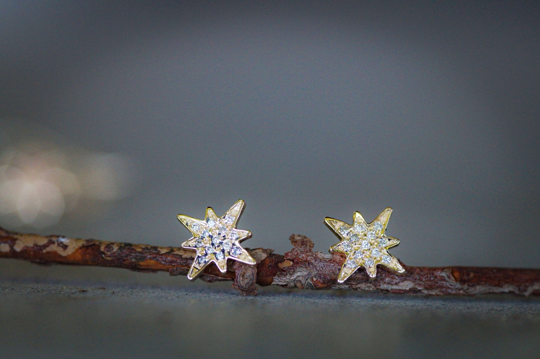 עגילי כוכב הצפון