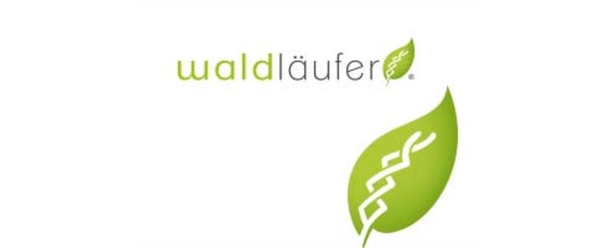 Waldlaufer | וולדלאופר נעלים עם מידות רוחב
