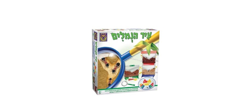 משחקי למידה