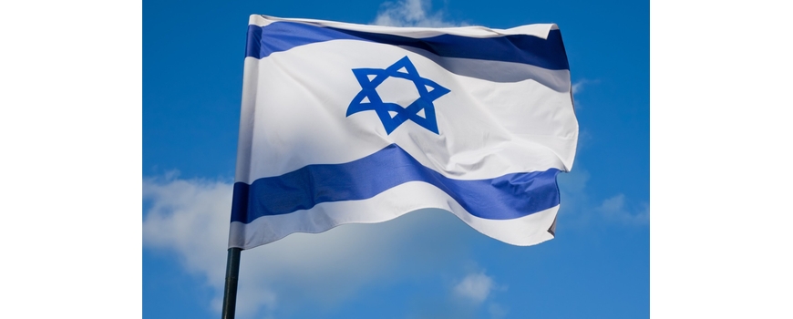 כל הדגלים