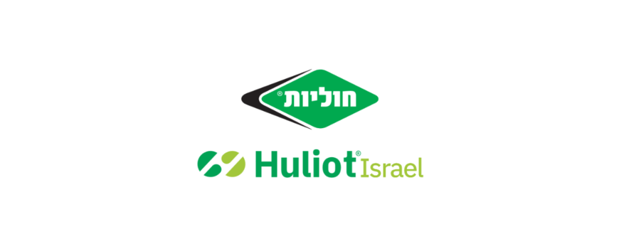 חוליות
