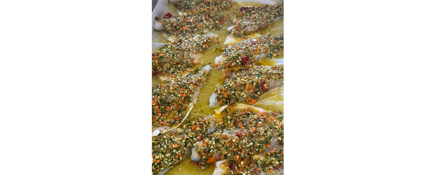 דגים