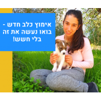 אימוץ כלב חדש