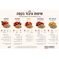 שיטות עיבוד בקפה