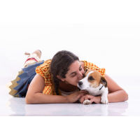 About Animal Asisted Education