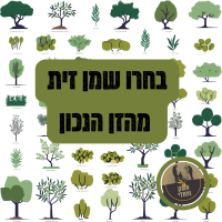 בחרו שמן זית מהזן הנכון