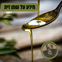 מידע על שמן זית ומושגים