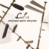 קטקיטים לדוגמה
