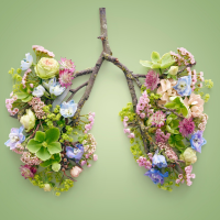נשימה נכונה כמה זה משפיע על בריאותינו?