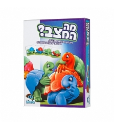 מה המצב