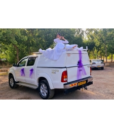 Purple van decoration