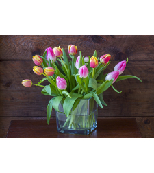 Arranging tulips in a vase - 2