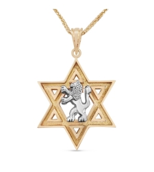 Star of David and White Gold Lion of Judah Pendant