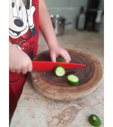 סכין שף 