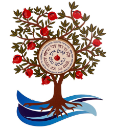 מתלה קיר - עץ הצלחה - אילן אילן