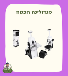 מנדולינה חכמה