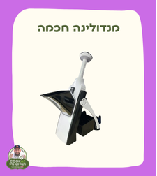 מנדולינה חכמה