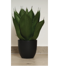 עץ AGAVE 48/51 CM