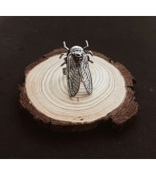 Cicada ring