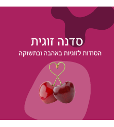 סדנה זוגית