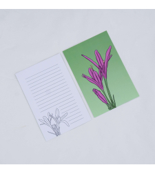 Autumn Crocus Postcards (Set of 10)