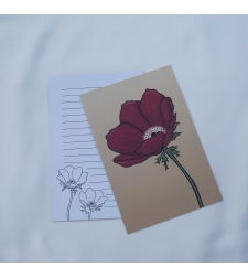 Anemone Postcards (Set of 10)