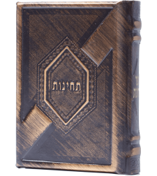תחינות-דגם 195