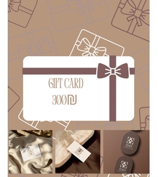 GIFT CARD - 300₪