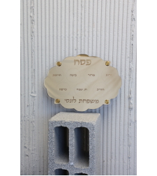 מגש פסח דגם פרימיום