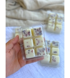 שעוונית Lavender