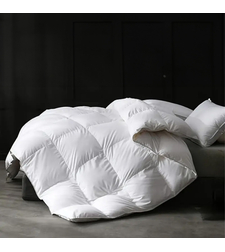 פוך זוגי OLYMPUS