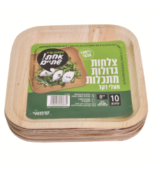 צלחות (M) מרובעות מתכלות מעלי דקל