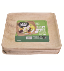 צלחות (L) מרובעות מתכלות מעלי דקל