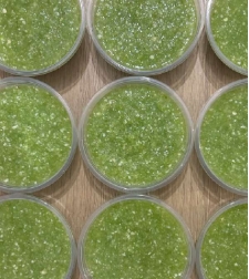 Tatbile (Green chili and garlic paste)