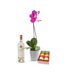 Gift box with orchid, wine and macarons Perly