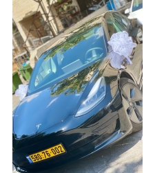 Wedding Car Flowers Decoration - #2