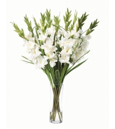 Tall bouquet with white gladioli #102