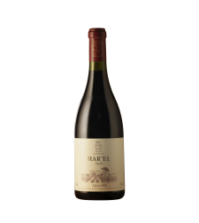 CLOS de GAT - HAR'EL - Syrah