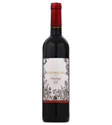 Binyamina-Shiraz | Kosher