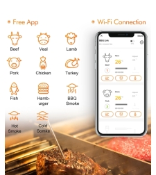 מד חום 4 פרובים WIFI